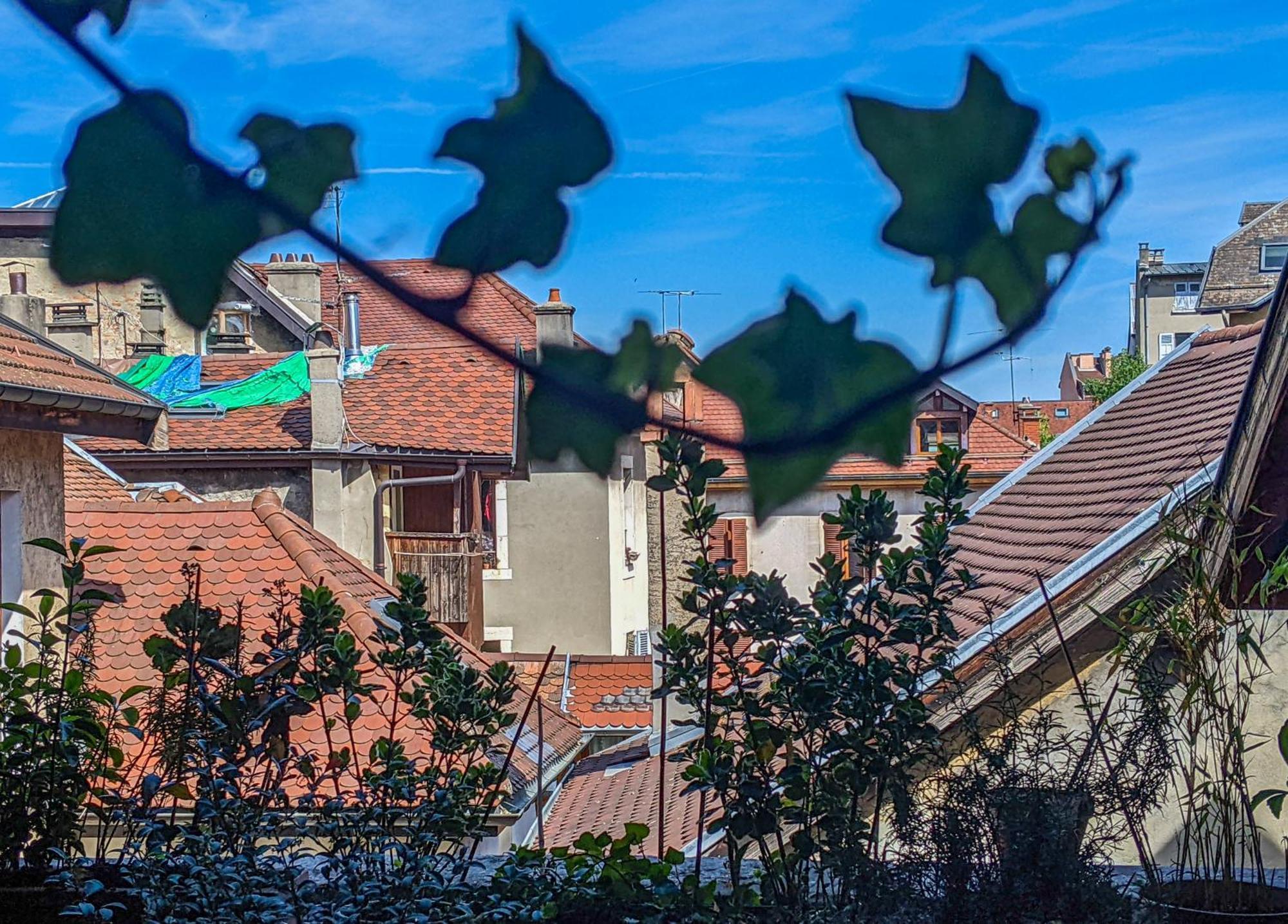 Nid Douillet Bed & Breakfast Annecy Exterior photo